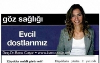 Golf Evcil Dostlarımız Aralık 2011