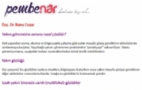 pembenar.com Göz Hastalıkları 01.01.2014